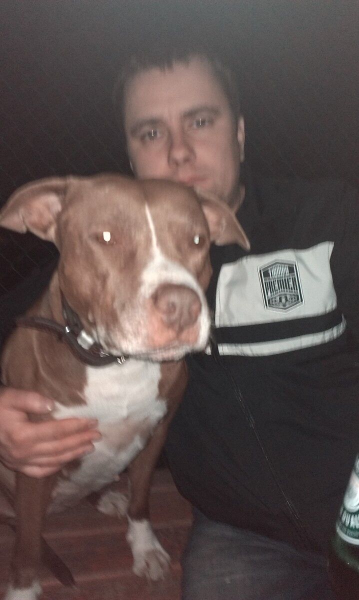 ���������� ������, ���� ������� �����, 41 ���, ������������ ��� ������, ����� � ���������, c�������� ���������