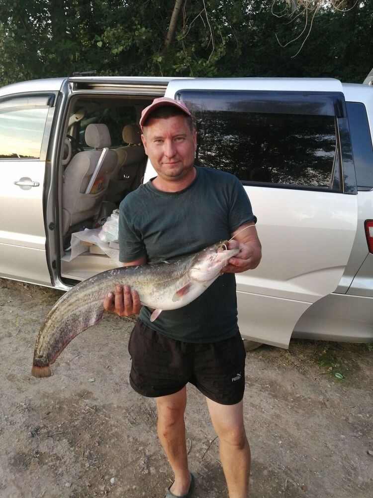 ���� 24988282 ������� ������, 45 ���, ���� ���������� � �������