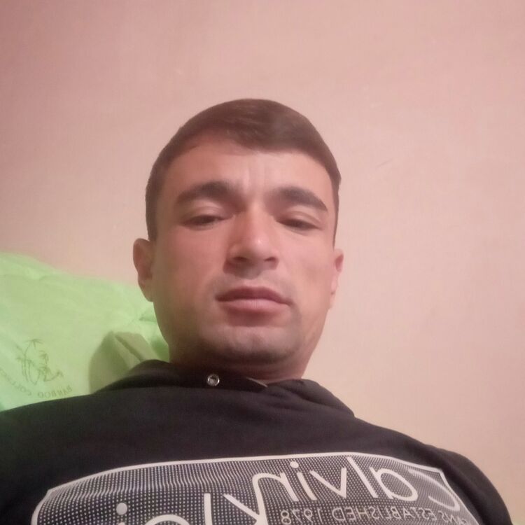 ���� 17616572 ������� Toyly, 36 ���, ���� ���������� � ���������