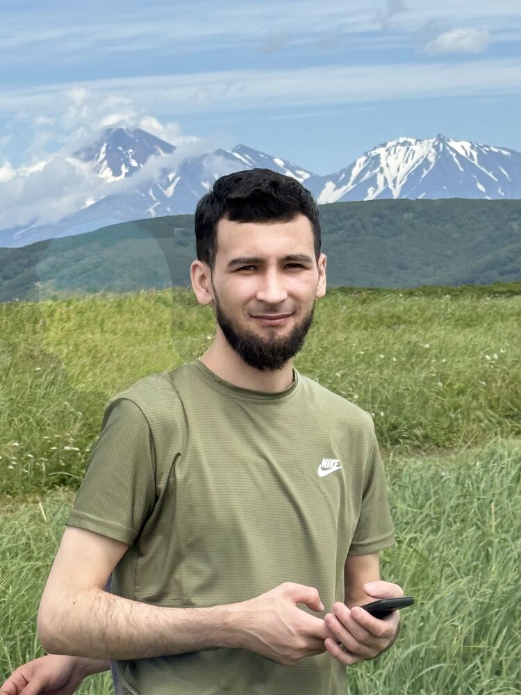  53566842  , 31 ,    -