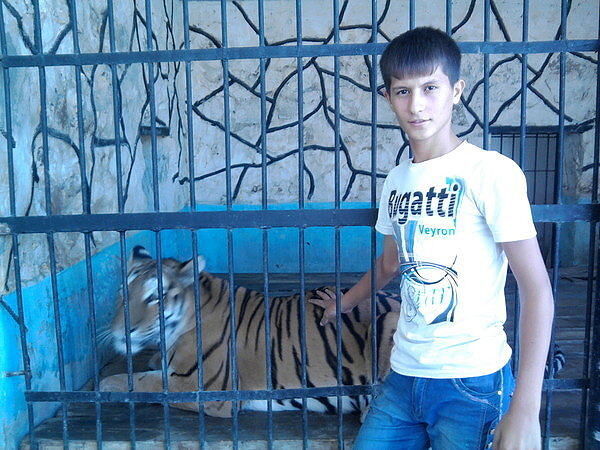  -,    , 29 ,   ,   , c , 