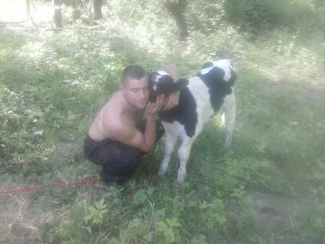 ,   , 39 ,   