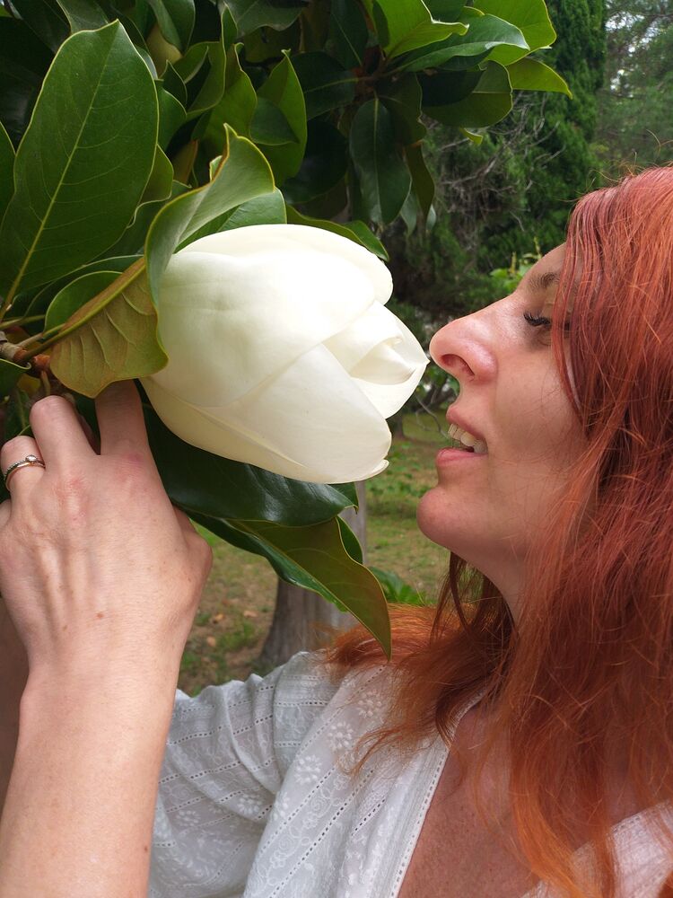 ���������� ����������, ���� ������� ����, 51 ���, ������������ ��� ������, ����� � ���������, c�������� ���������, ���������