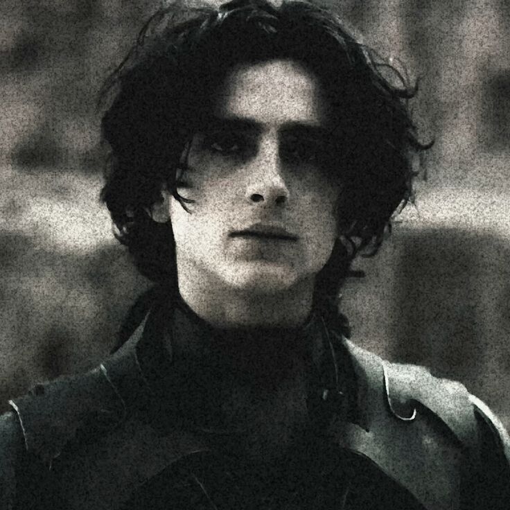  ,   Beretta, 19 ,   ,   