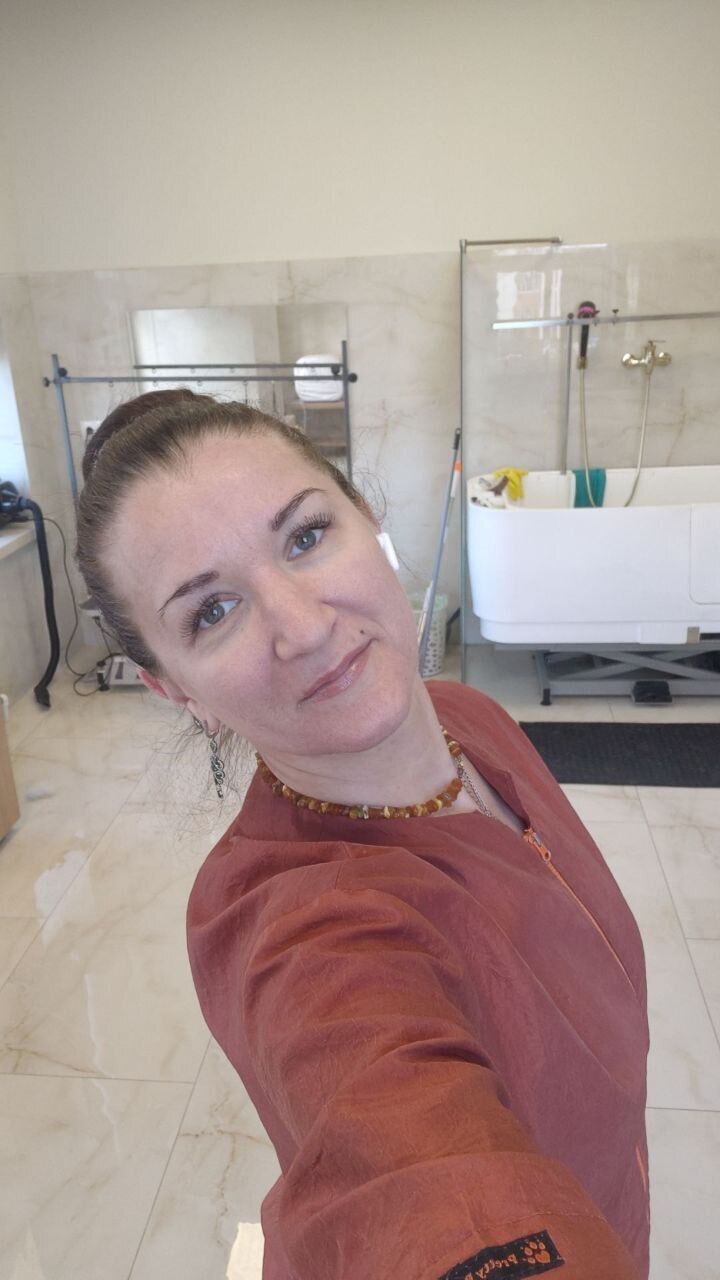  54026672  , 42 ,    -