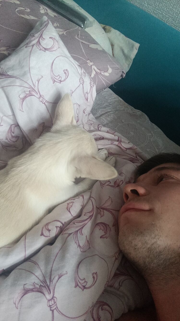 ���������� �����, ���� ������� ������, 35 ���, ������������ ��� ������, ����� � ���������, c�������� ���������