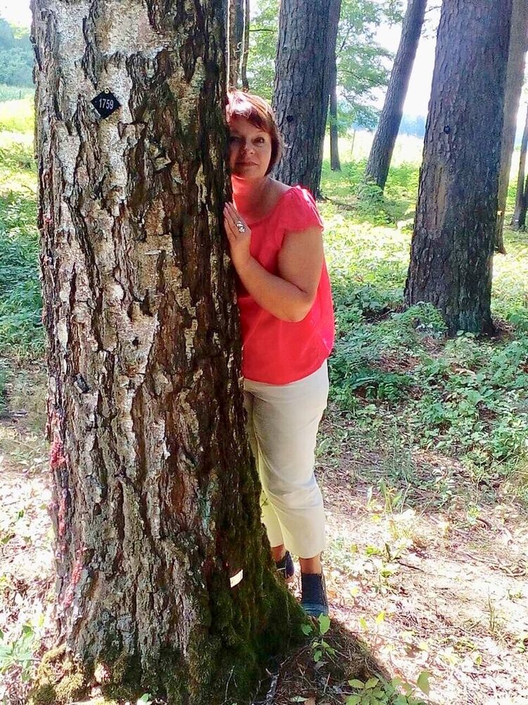 ���������� �����, ���� ������� ����, 62 ����, ������������ ��� ����� � ���������, c�������� ���������