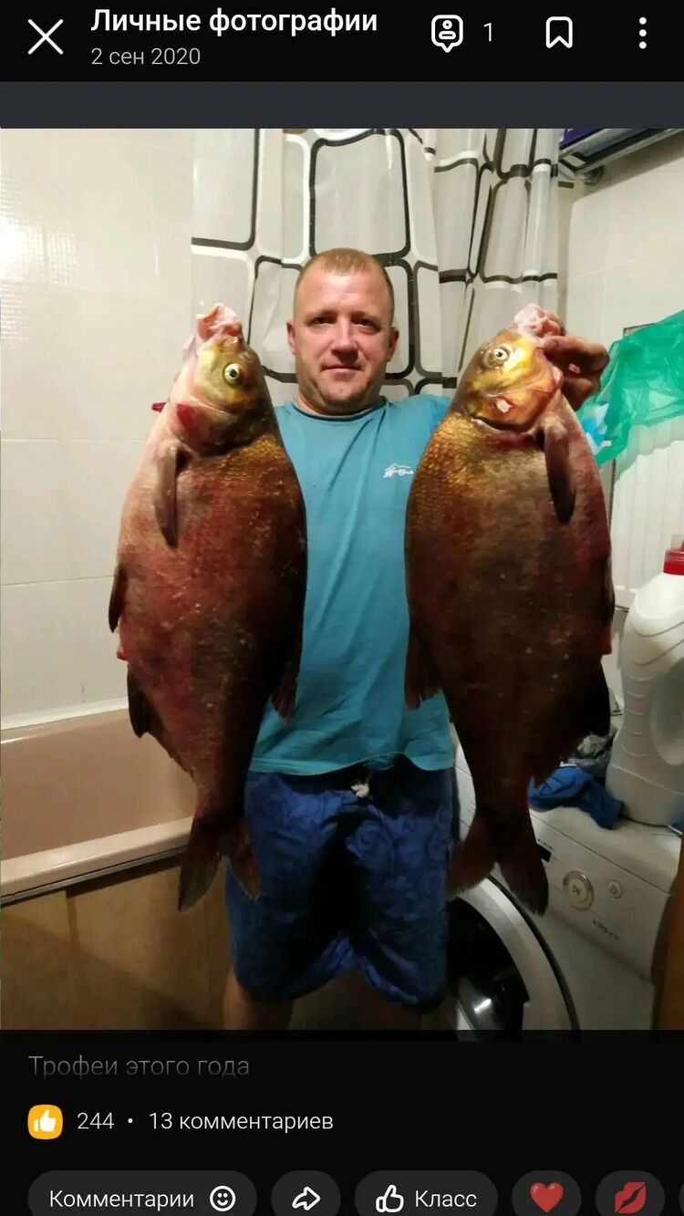  ,   , 44 ,   c 