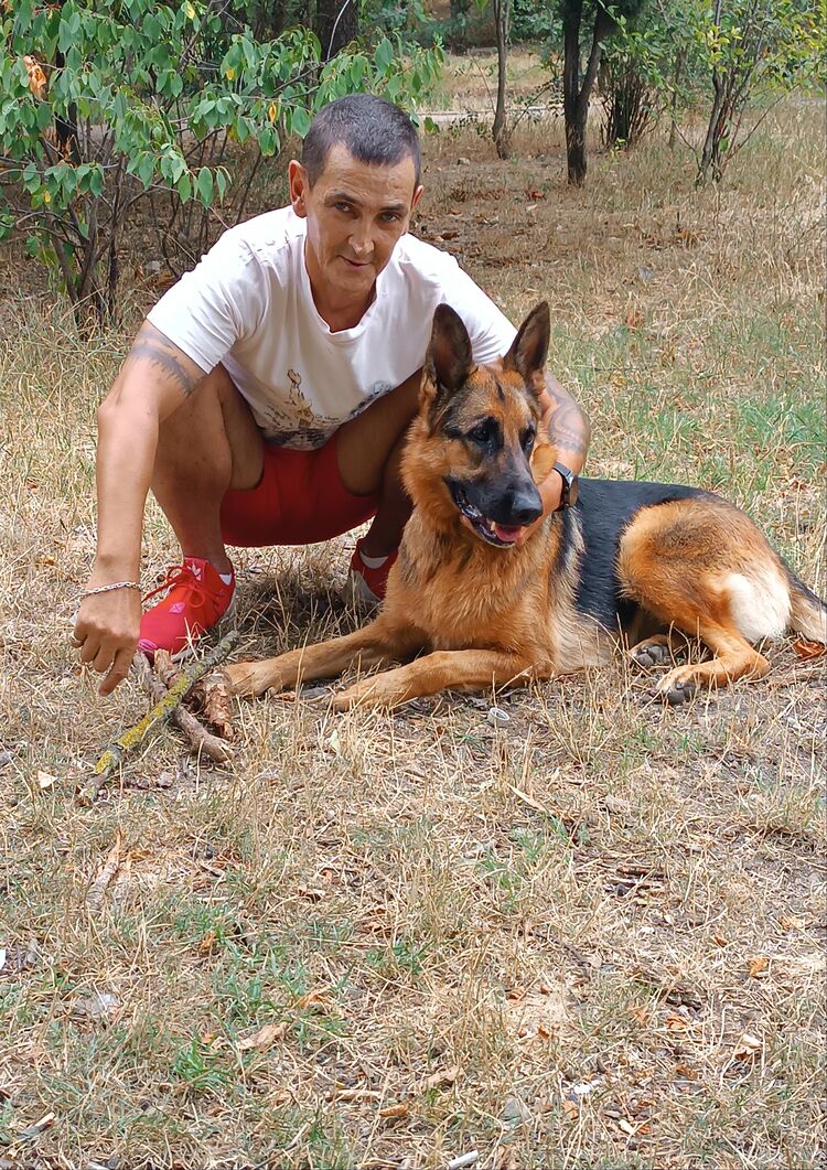 ���� 53246032 ������� ���������, 50 ���, ���� ���������� � �����������