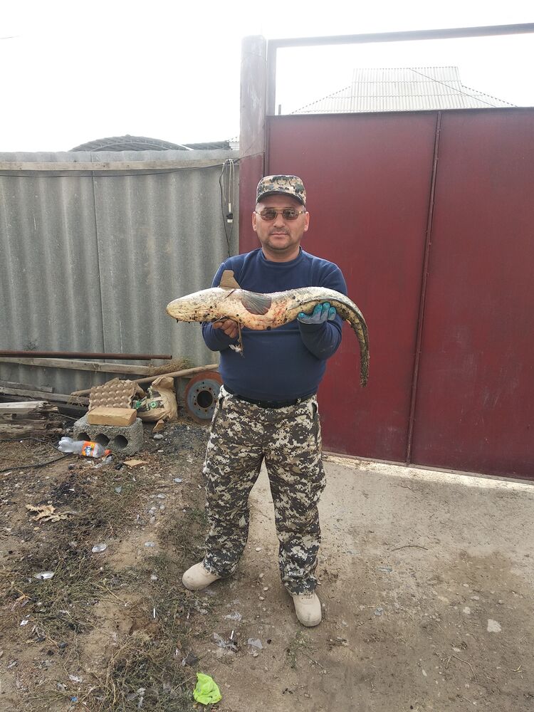  28554242  , 38 ,    