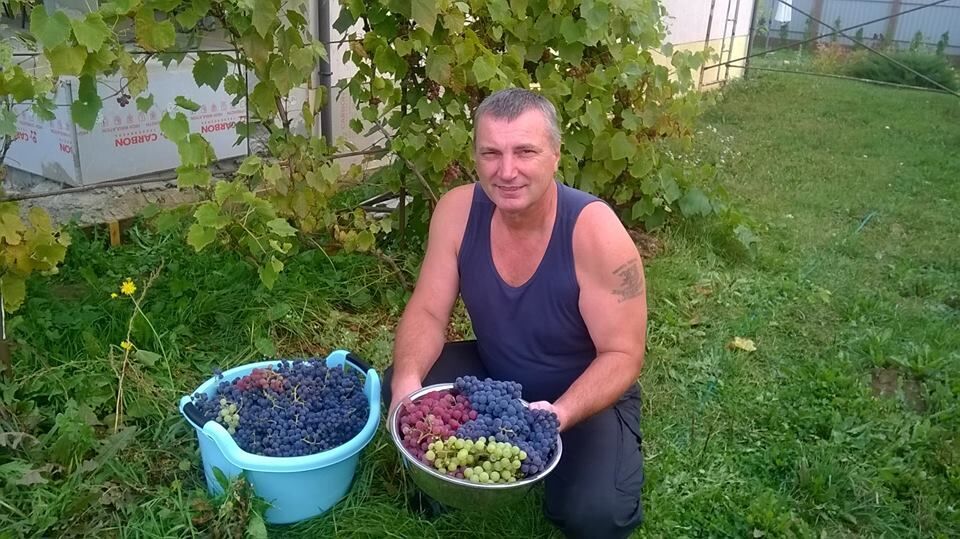 ���� 54978882 ������� ������, 59 ���, ���� ���������� � ������