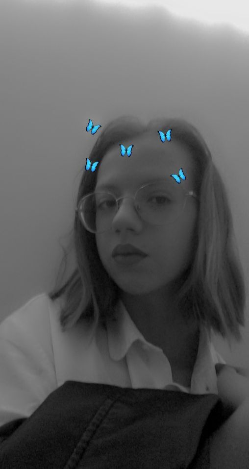  29833562  , 21 ,    -