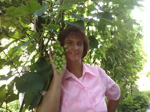 ���������� ������, ���� ������� �����, 64 ����, ������������ ��� ������, ����� � ���������, c�������� ���������