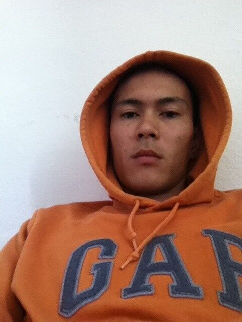 ���� 4243732 ������� Shiko, 38 ���, ���� ���������� � ������