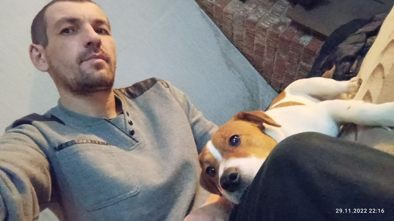 ���� 31682852 ������� Begynok, 37 ���, ���� ���������� � �������