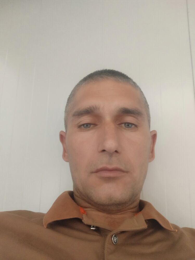  54073232  , 43 ,    -