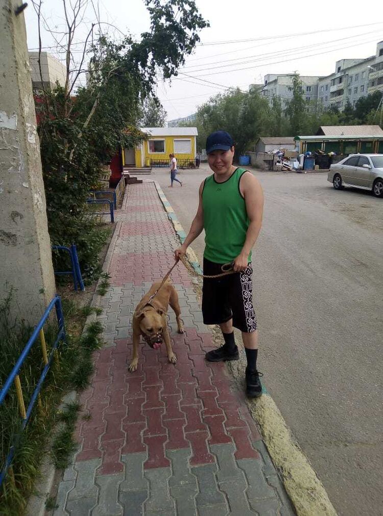 ���������� ������, ���� ������� �������, 40 ���, ������������ ��� ������, ����� � ���������