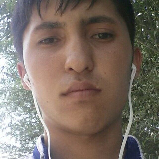 ���������� ������, ���� ����� ��������, 24 ����, ������������ ��� ����� � ���������, c�������� ���������