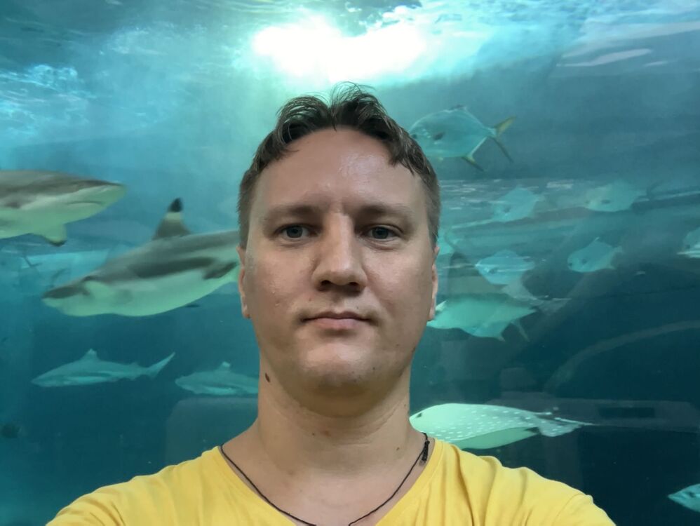 ���������� �������, ���� ������� ��������, 29 ���, ������������ ��� c�������� ���������