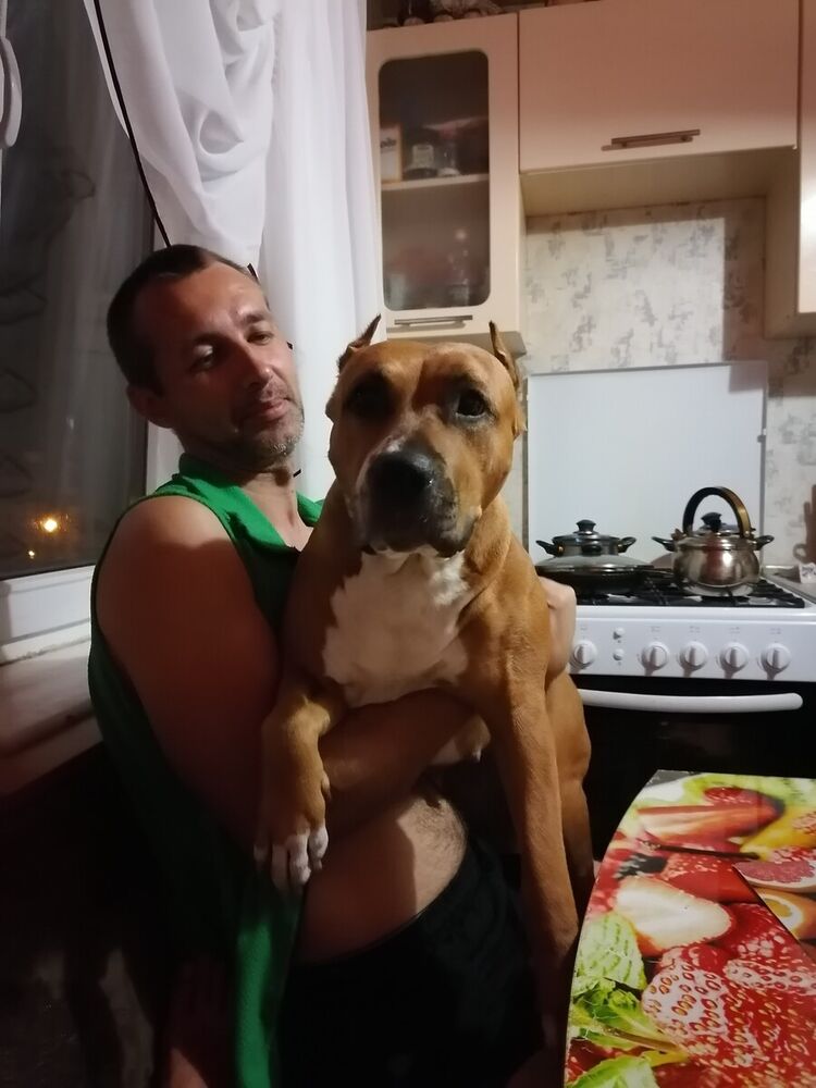 ���� 21501412 ������� ������, 42 ����, ���� ���������� � ������