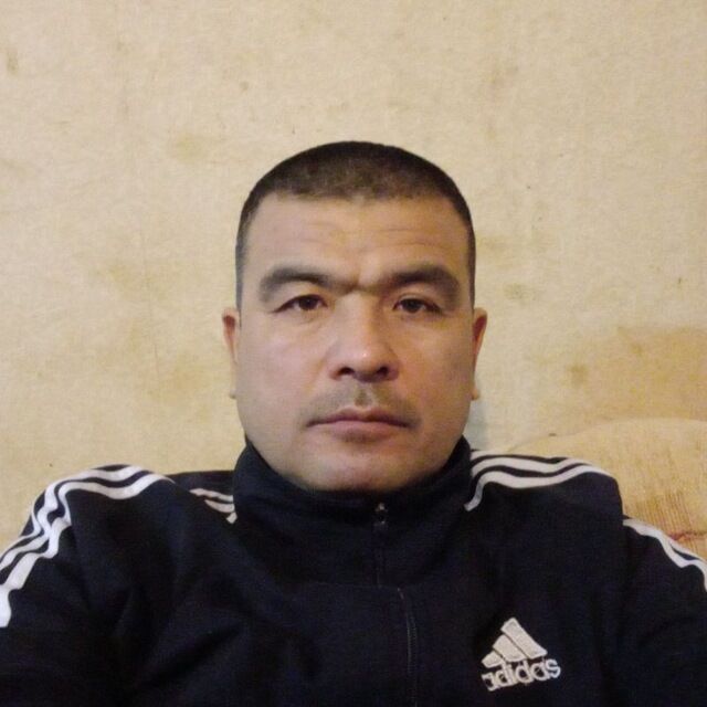  47253802  , 47 ,    