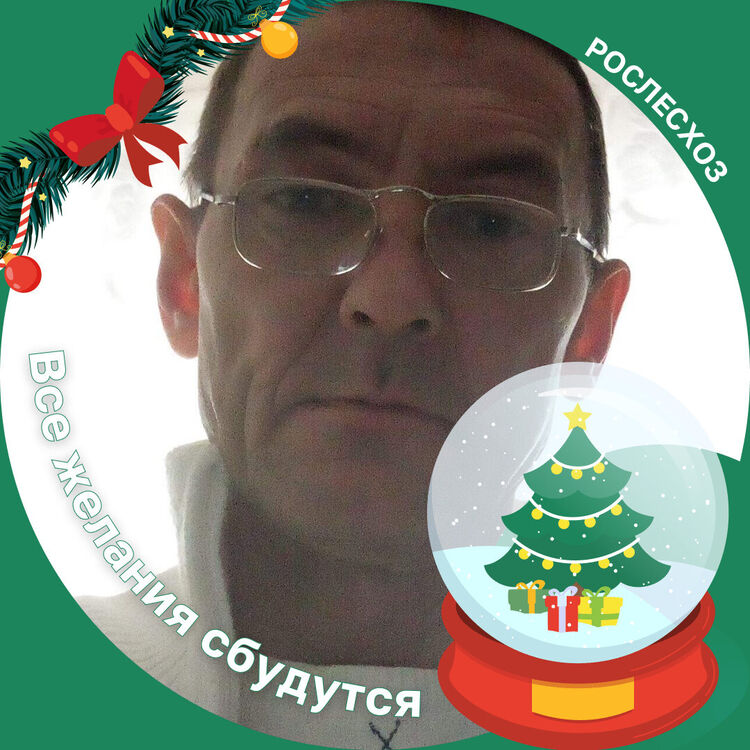  53923602  , 50 ,    -