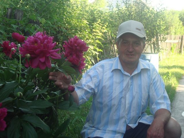  -,   , 75 ,   