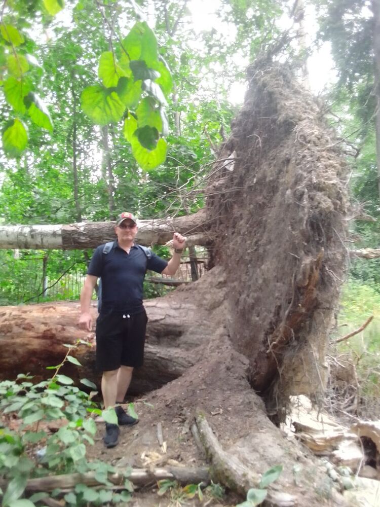 ���������� ������, ���� ������� �������, 50 ���, ������������ ��� ����� � ���������, c�������� ���������