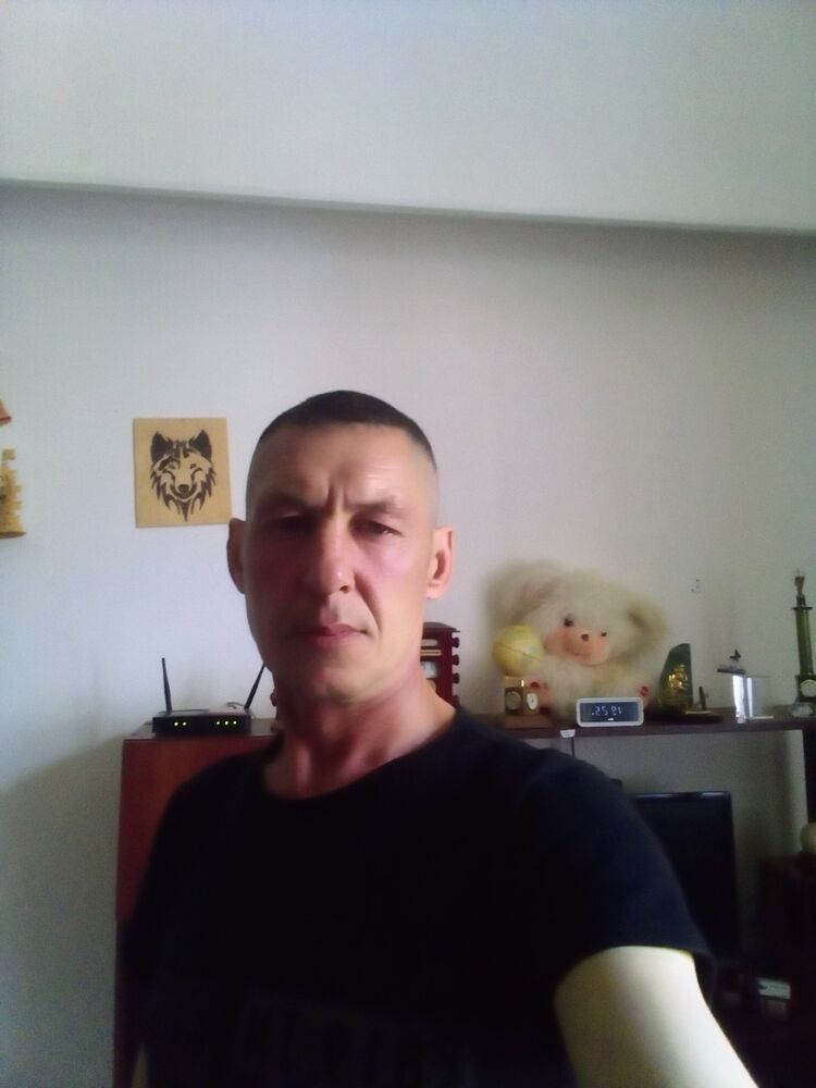  43778602  , 44 ,    