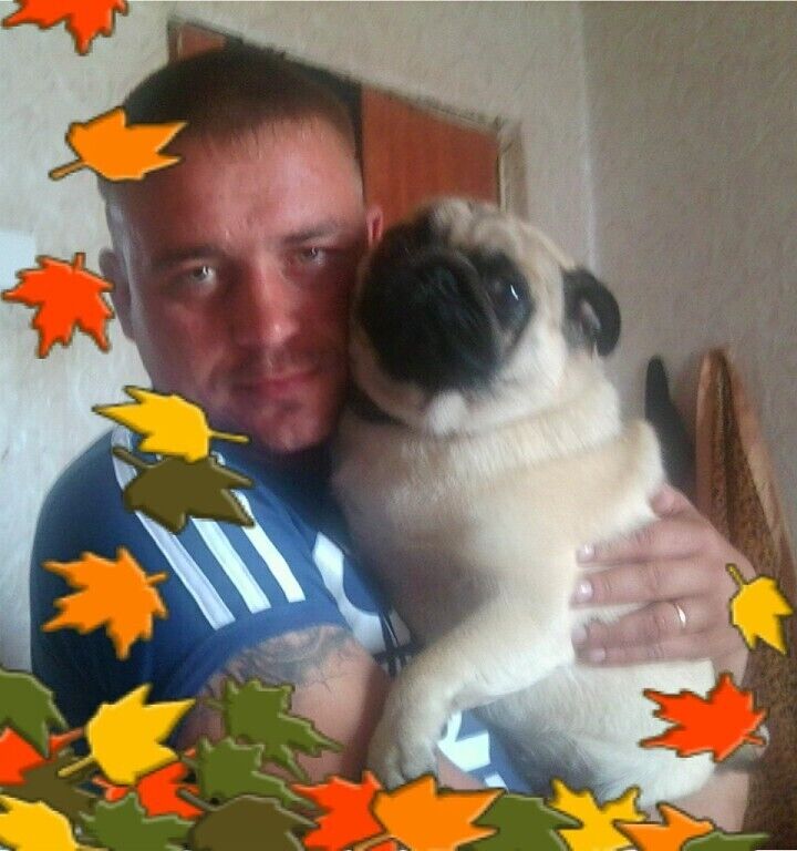 ���������� ��������, ���� ������� ������, 38 ���, ������������ ��� ������, ����� � ���������, c�������� ���������, ���������