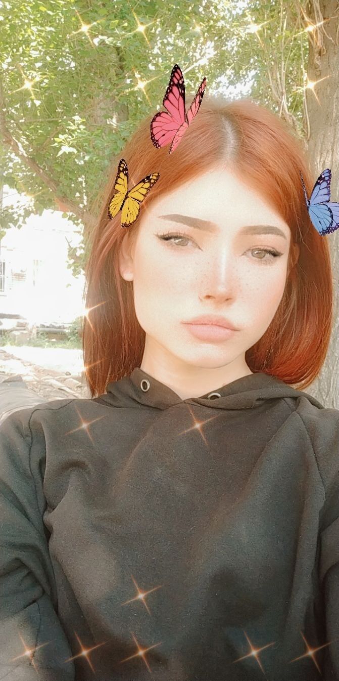 ���������� ���������, ���� ������� �����, 24 ����, ������������ ��� ������, ����� � ���������