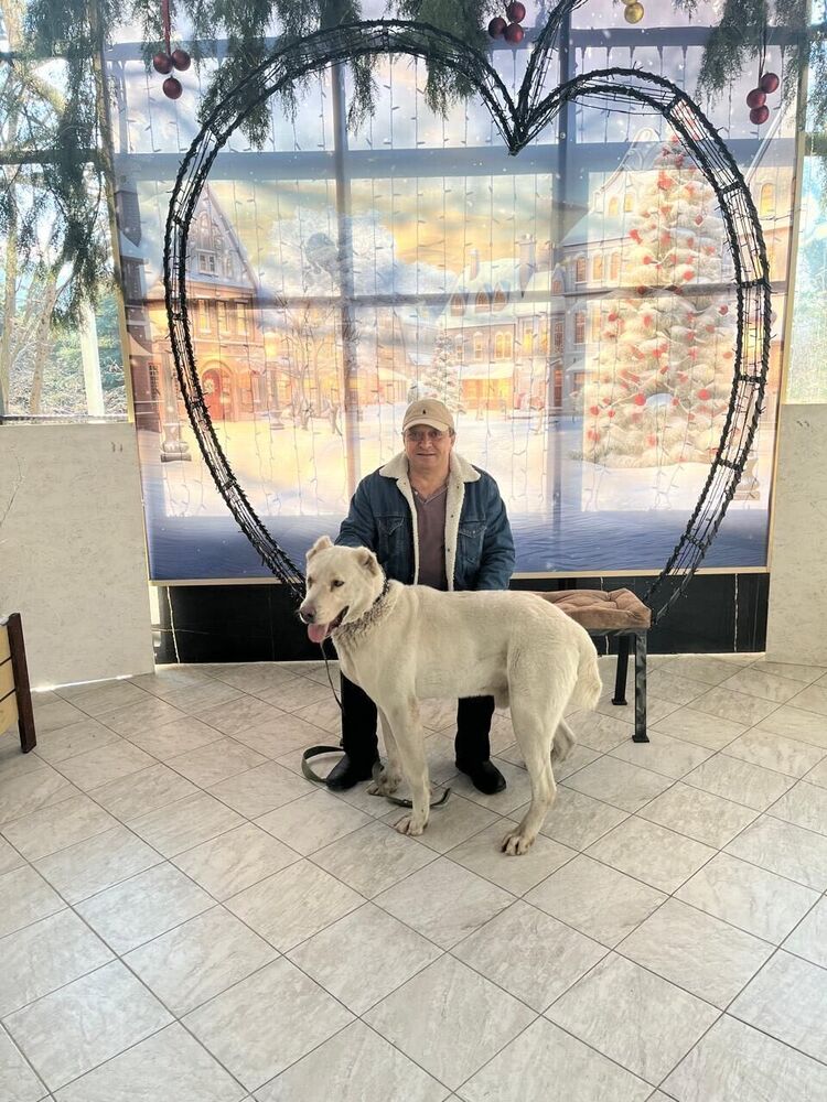 ���� 55069062 ������� ����, 61 ���, ���� ���������� � ����