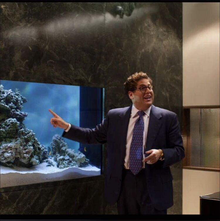 ���� 55298812 ������� ����, 39 ���, ���� ���������� � ���������