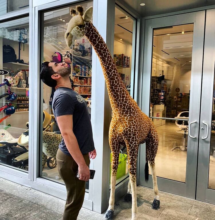 ���� 54670282 ������� ������, 35 ���, ���� ���������� � �����������