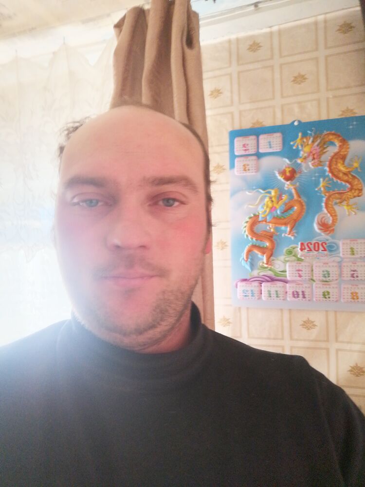  48075182  , 31 ,    