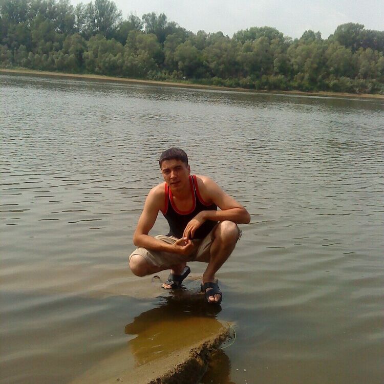 ���� 38375772 ������� ���, 38 ���, ���� ���������� � ���