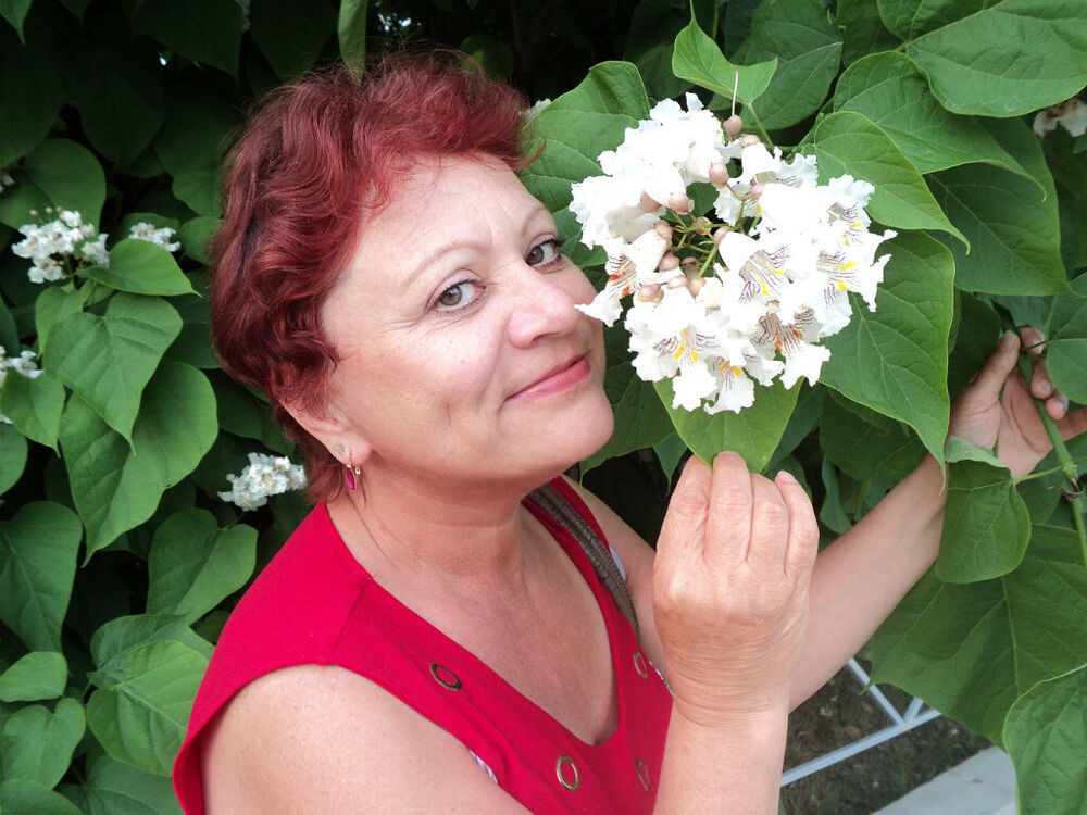 ���������� �������, ���� ������� �������, 70 ���, ������������ ��� c�������� ���������