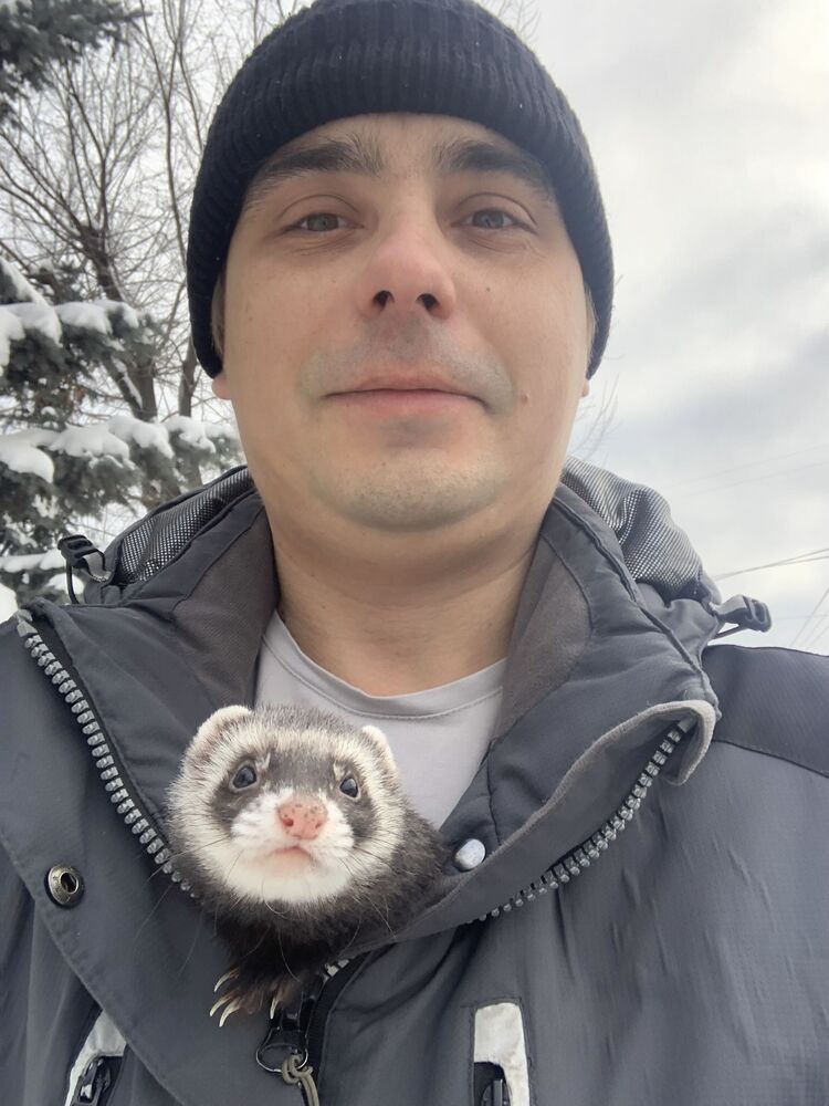 ���������� ���������, ���� ������� ����, 38 ���, ������������ ��� ������, ����� � ���������, c�������� ���������