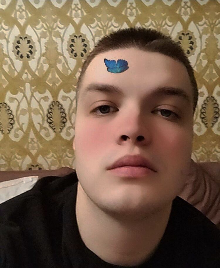  50592542  , 24 ,    