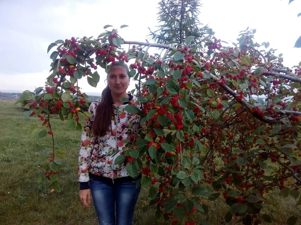  ,   , 32 ,   
