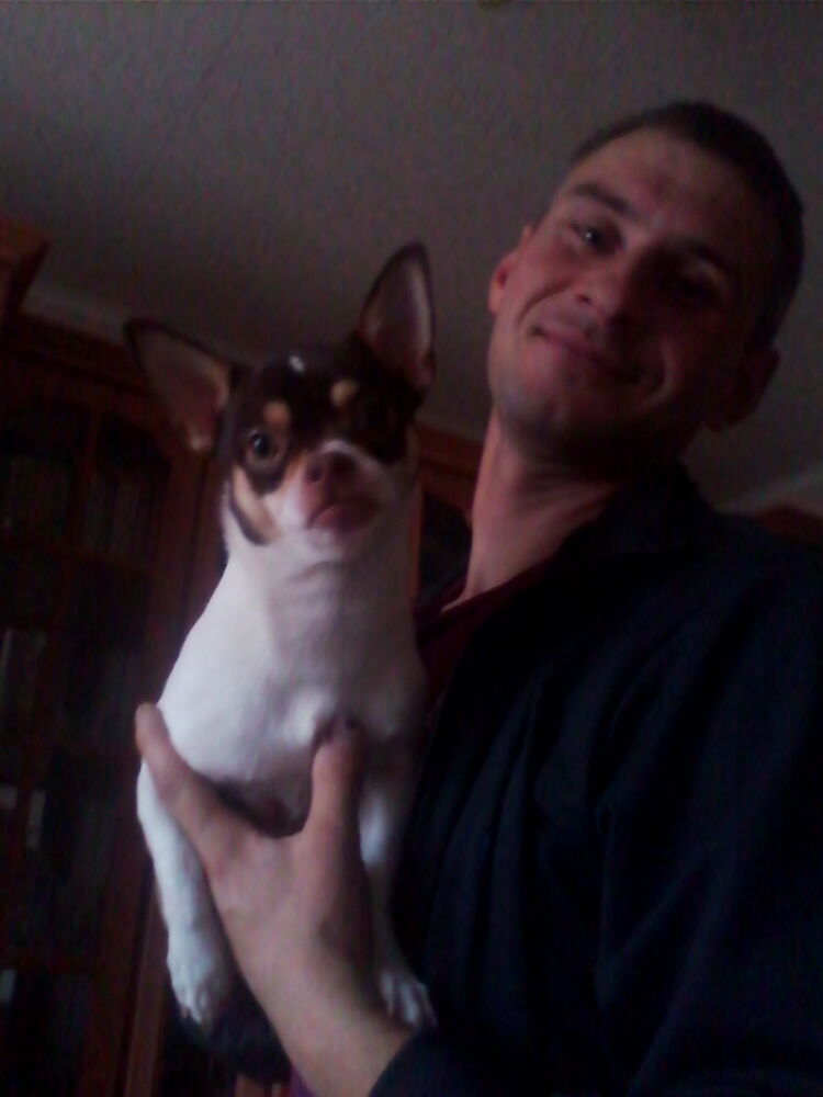 ���������� ������ ��������, ���� ������� ����, 42 ����, ������������ ��� ������, ���������