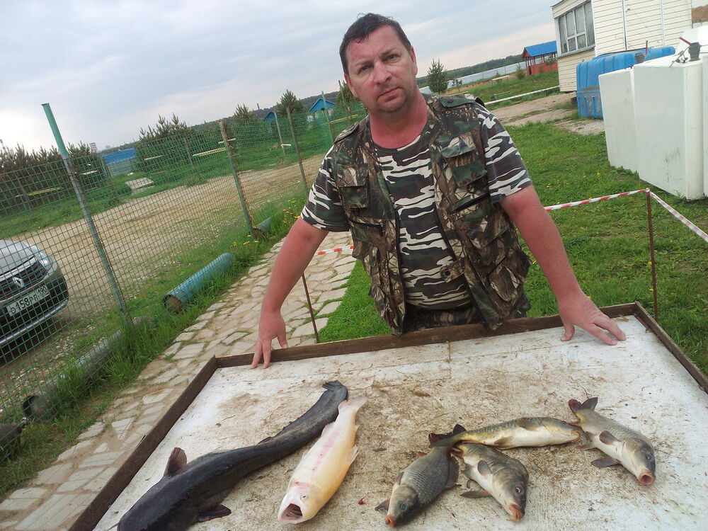 ���� 9649182 ������� ��������, 56 ���, ���� ���������� � ������