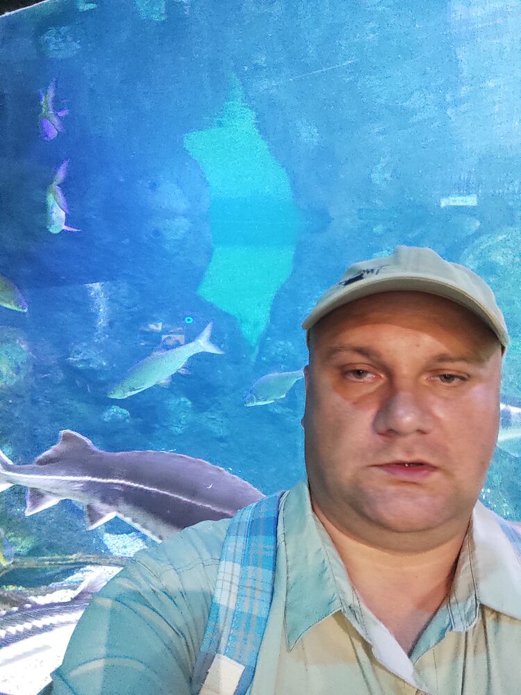 ���� 27945312 ������� ���������, 45 ���, ���� ���������� � �������