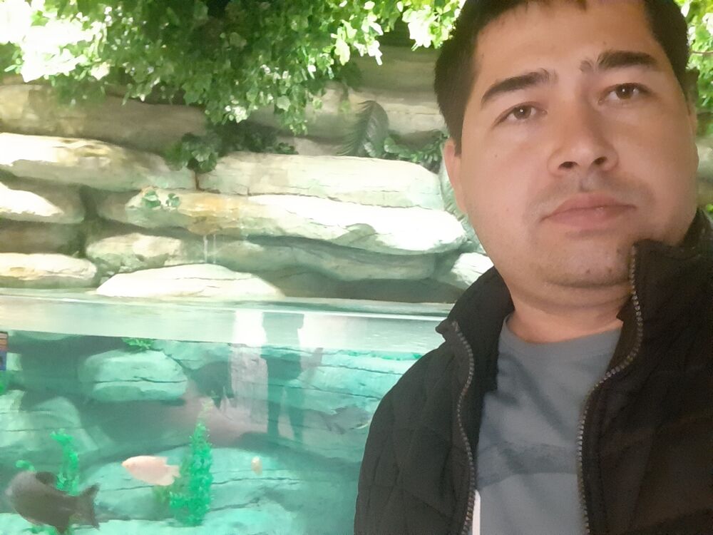 ���������� �������, ���� ������� Zafar, 40 ���, ������������ ��� ������, ����� � ���������