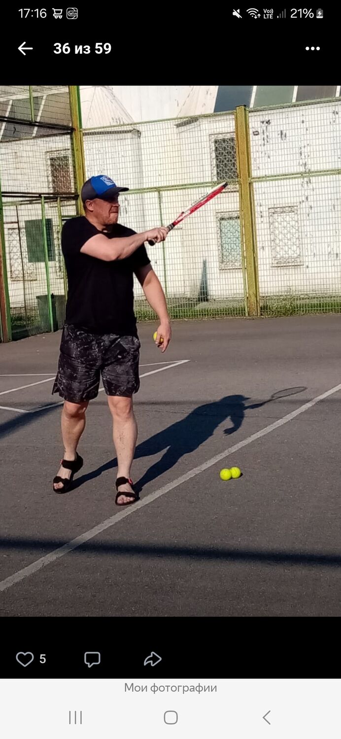  53729582  , 43 ,    -