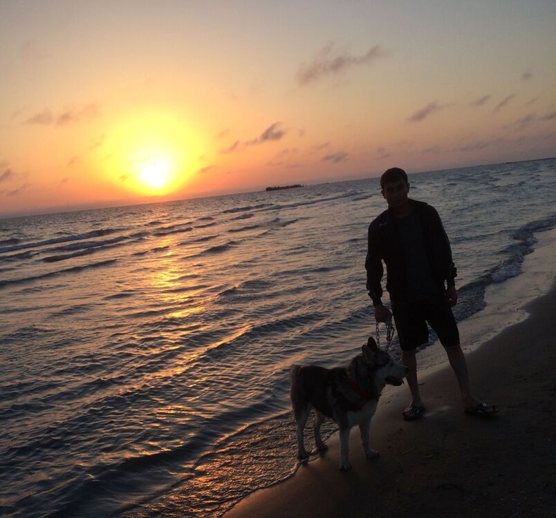 ���� 41943732 ������� ����, 35 ���, ���� ���������� � �������������