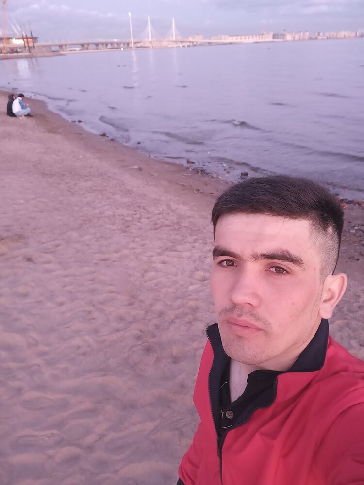  28135442  , 23 ,    -