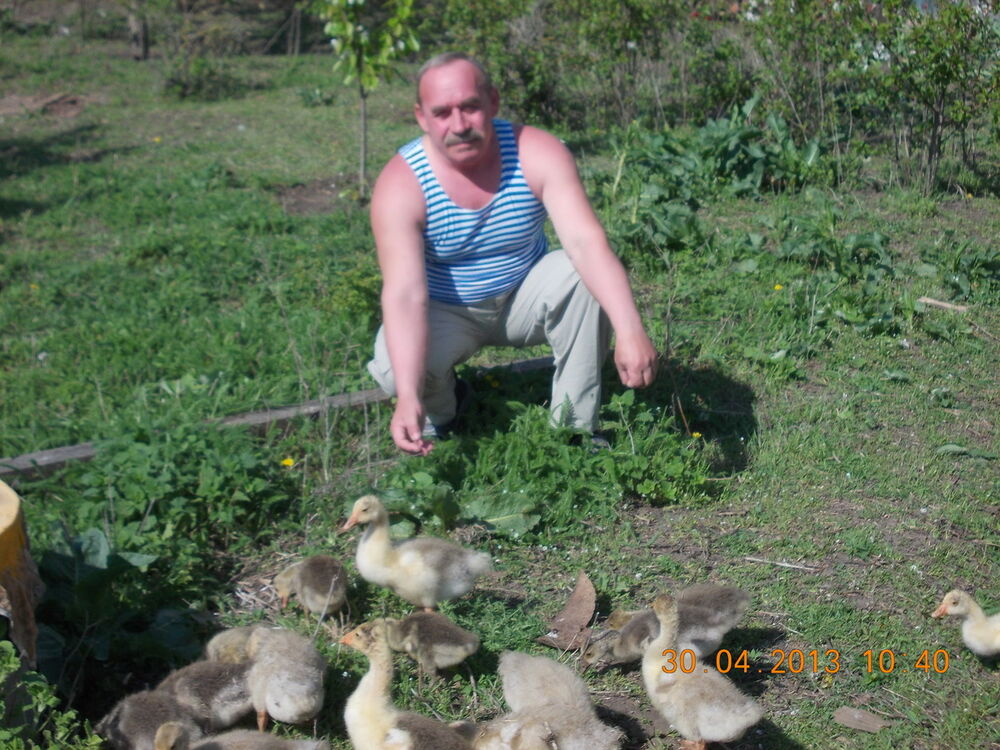  ,   ISKANDER, 73 ,   ,   , c 