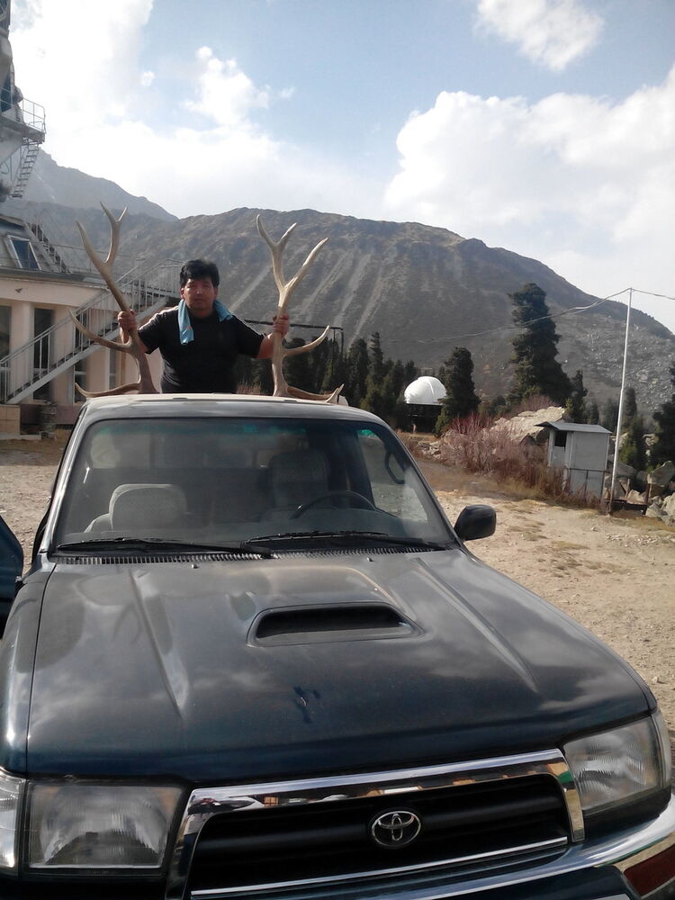 ���������� ������, ���� ������� �������, 56 ���, ������������ ��� ������, ����� � ���������, c�������� ���������