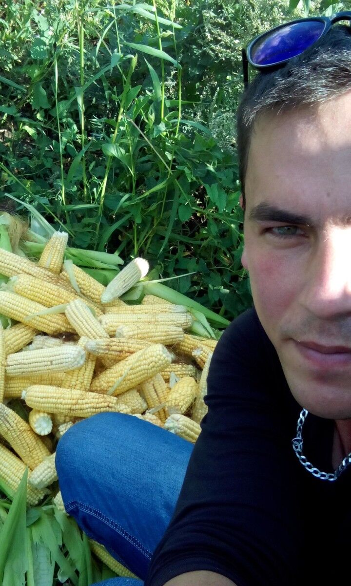 ���������� ������, ���� ������� ������, 38 ���, ������������ ��� ������, ����� � ���������, c�������� ���������